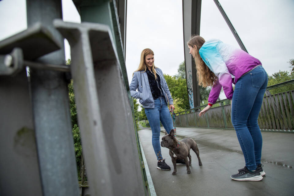 So streichelt man einen Hund richtig Startseite rnz.de RheinNeckarZeitung