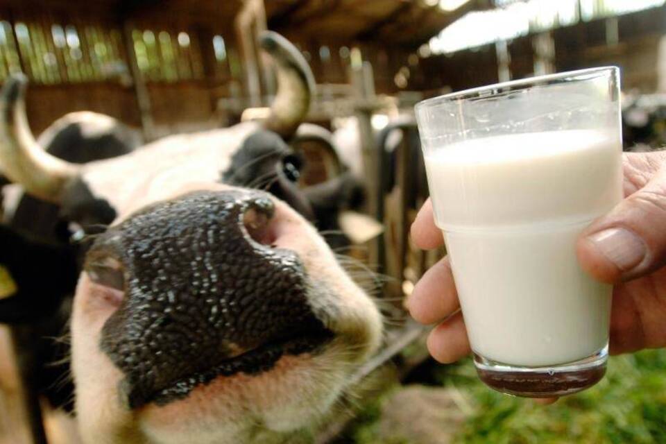Milch Milch