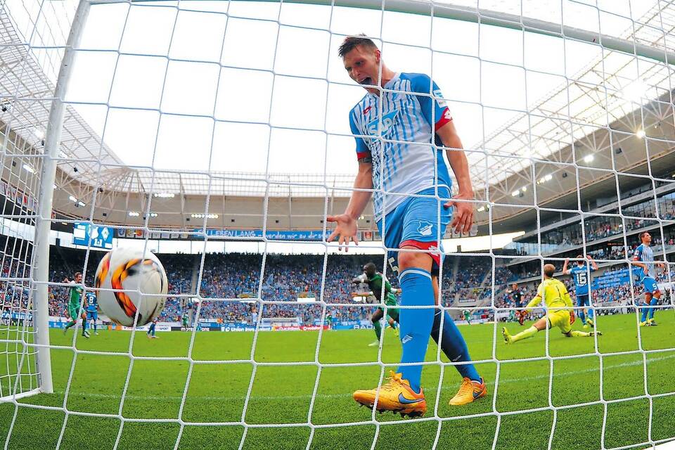 Tsg Hoffenheim: Krise Nach Stadion Verbot! Droht Der Nächste Hammer Für Roger Wittmann? - xhox62u
