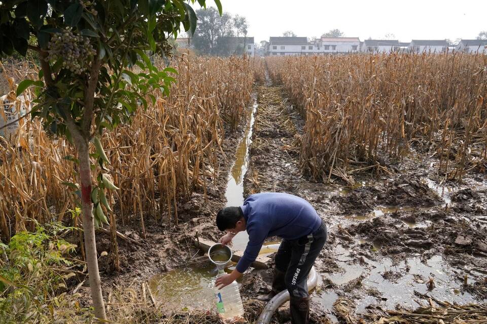Landwirt in China