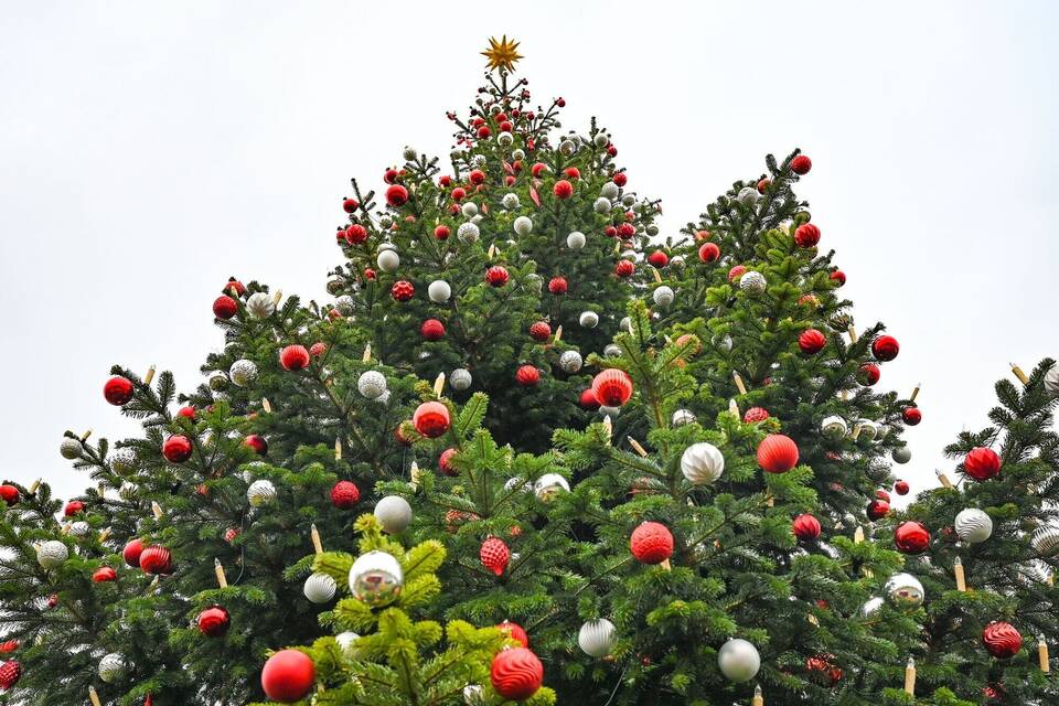Weihnachtsbaum Weihnachtsbaum
