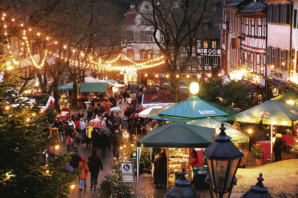 Weinheim Weihnachtsmarkt lockt mit BugaKarten RheinNeckar Nachrichten und Aktuelles aus