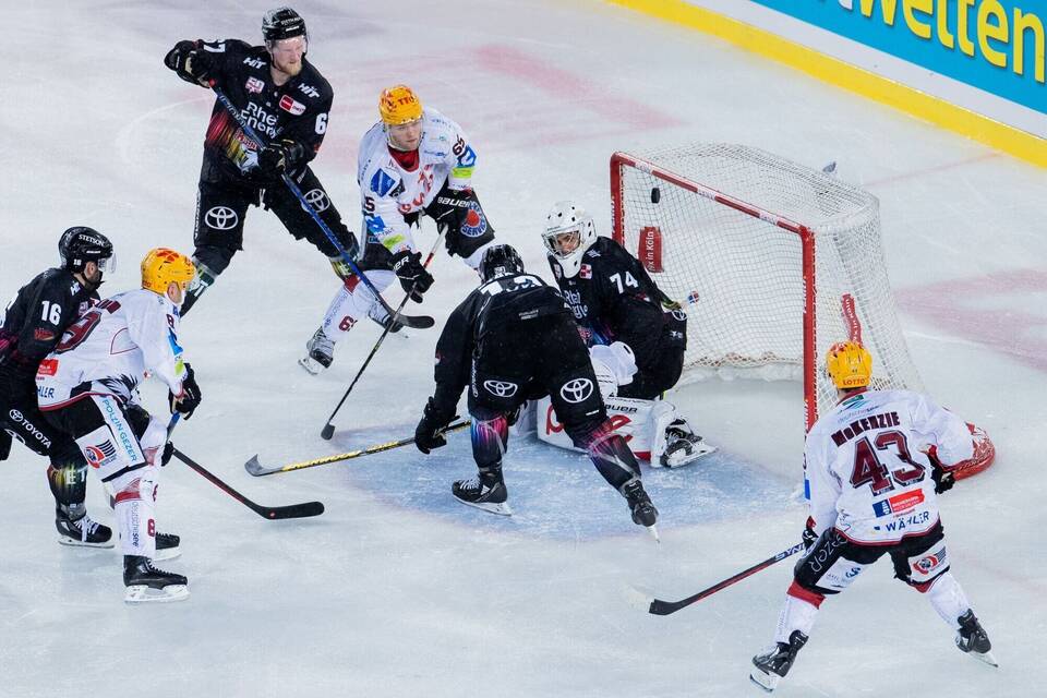Kölner Haie - Pinguins Bremerhaven Kölner Haie - Pinguins Bremerhaven