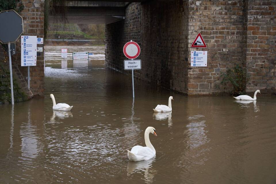 Hochwasser Hochwasser