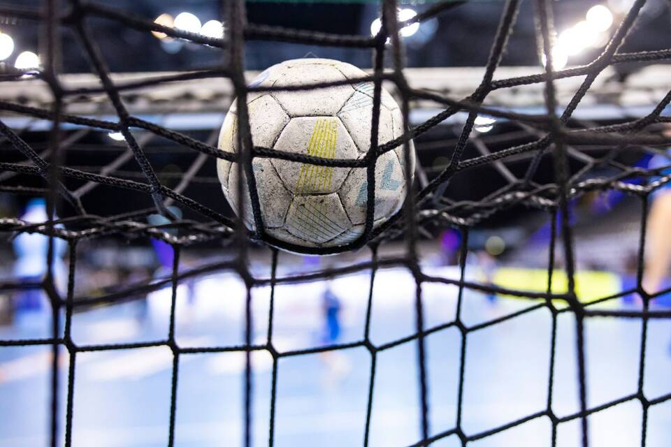 Handball-WM