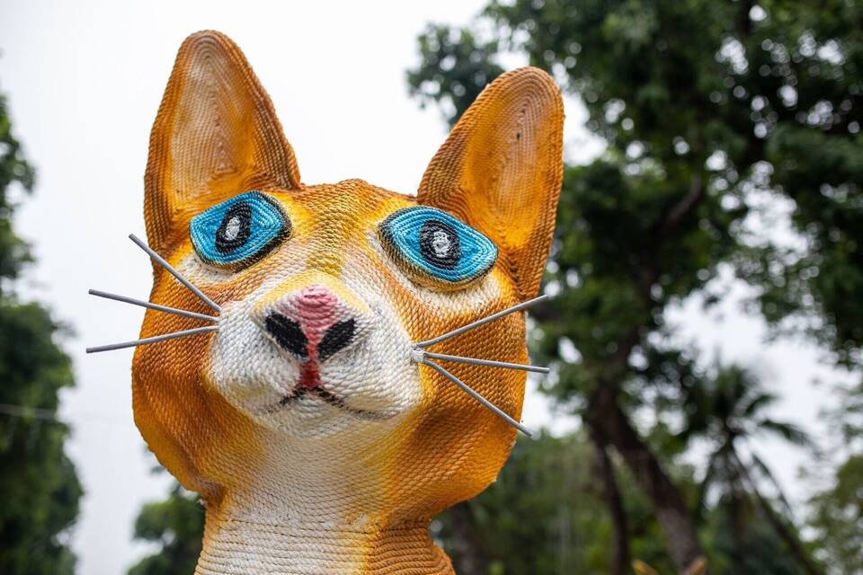Jahr der Katze Jahr der Katze