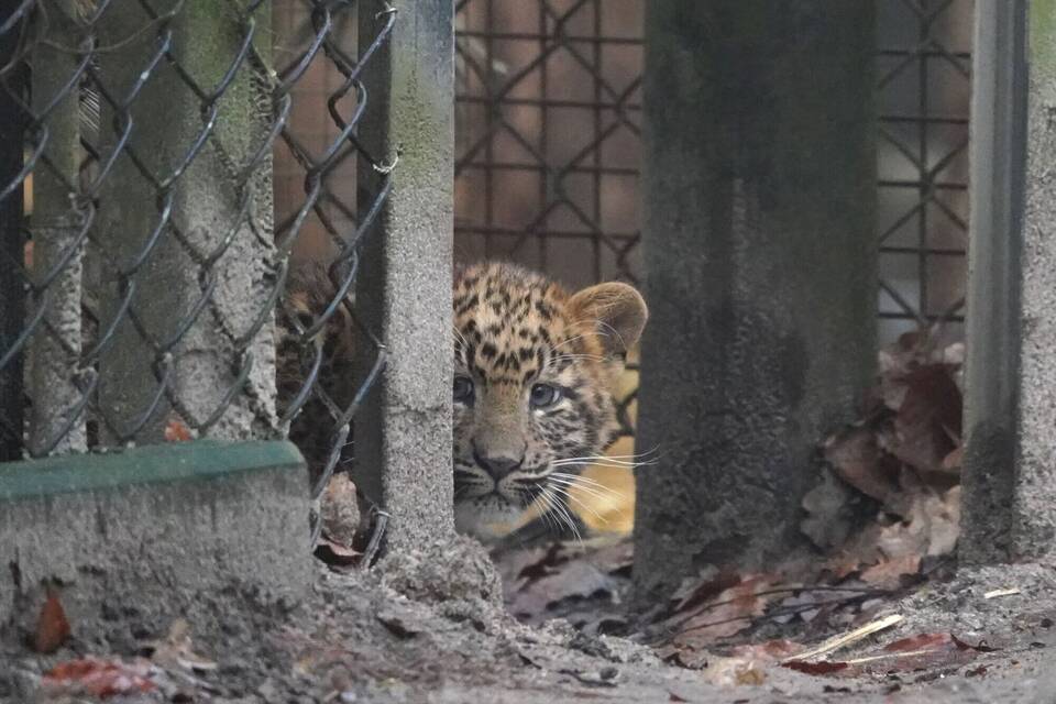 Tierpark Hagenbeck Tierpark Hagenbeck