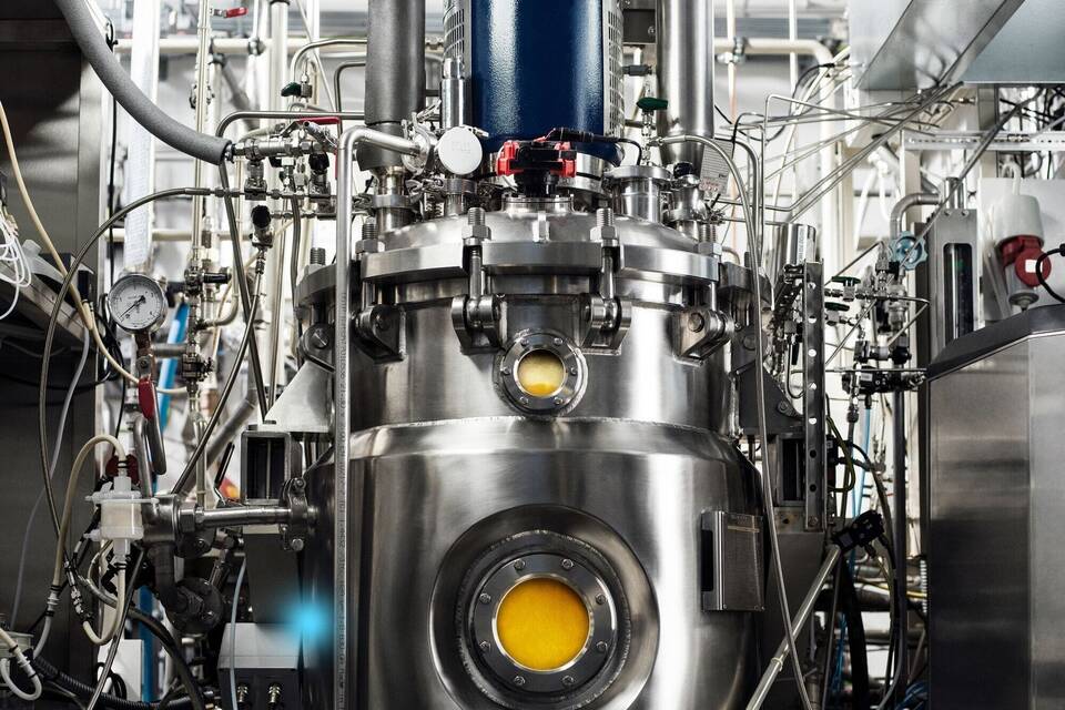 Proteinpulver Proteinpulver