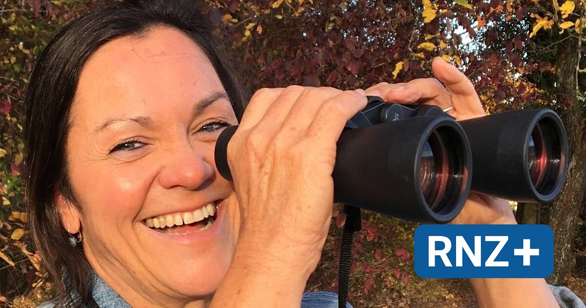 53+ Ndr Naturnah Mein Garten Wird Zum Biotop, Stefan behr hat seinen