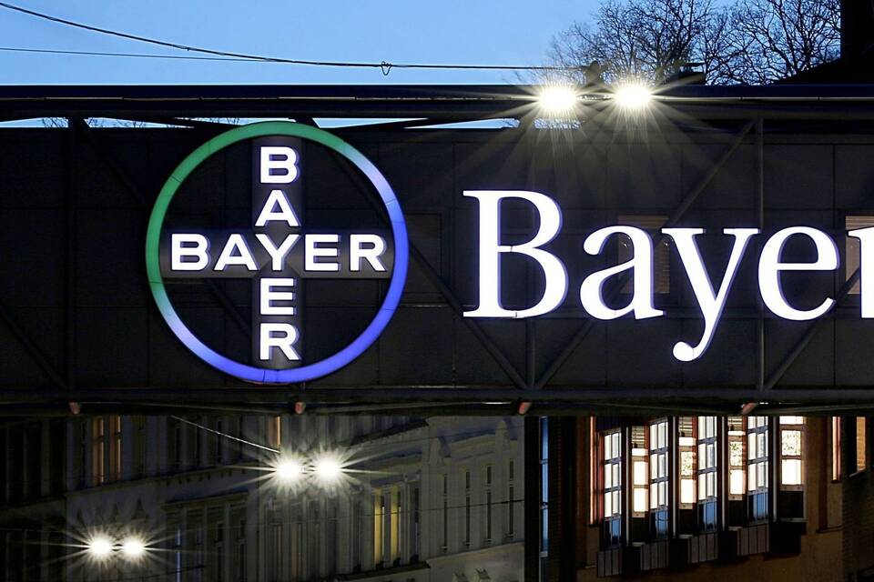 Bayer Bayer