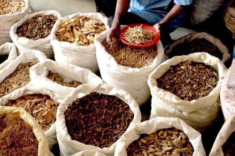 Ayurvedische Medizin
