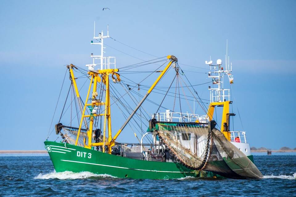 Fischerei in der Nordsee Fischerei in der Nordsee