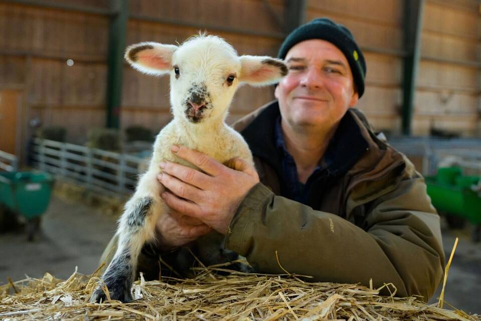 Lammzeit