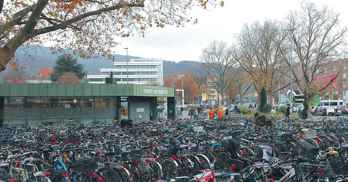 fahrrad für afrika st leon-rot