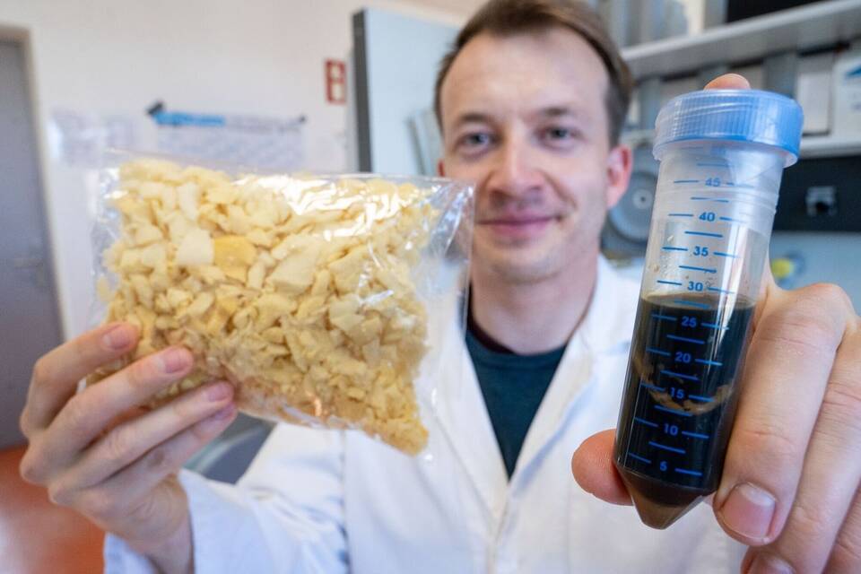 Enzyme Enzyme