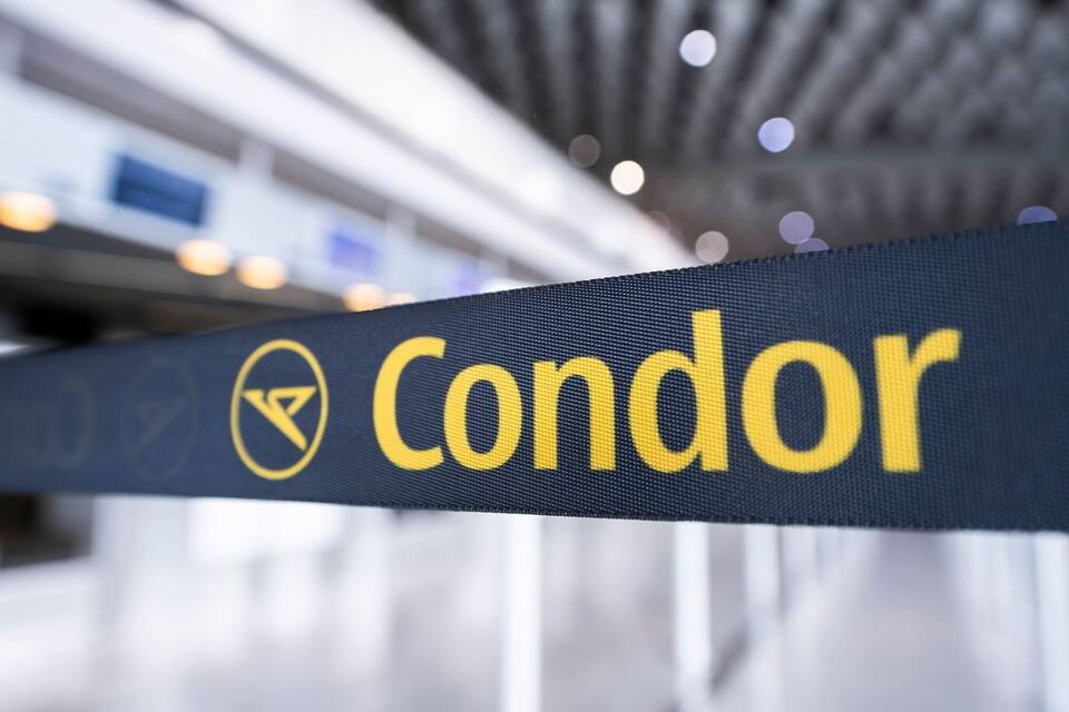 Condor Condor