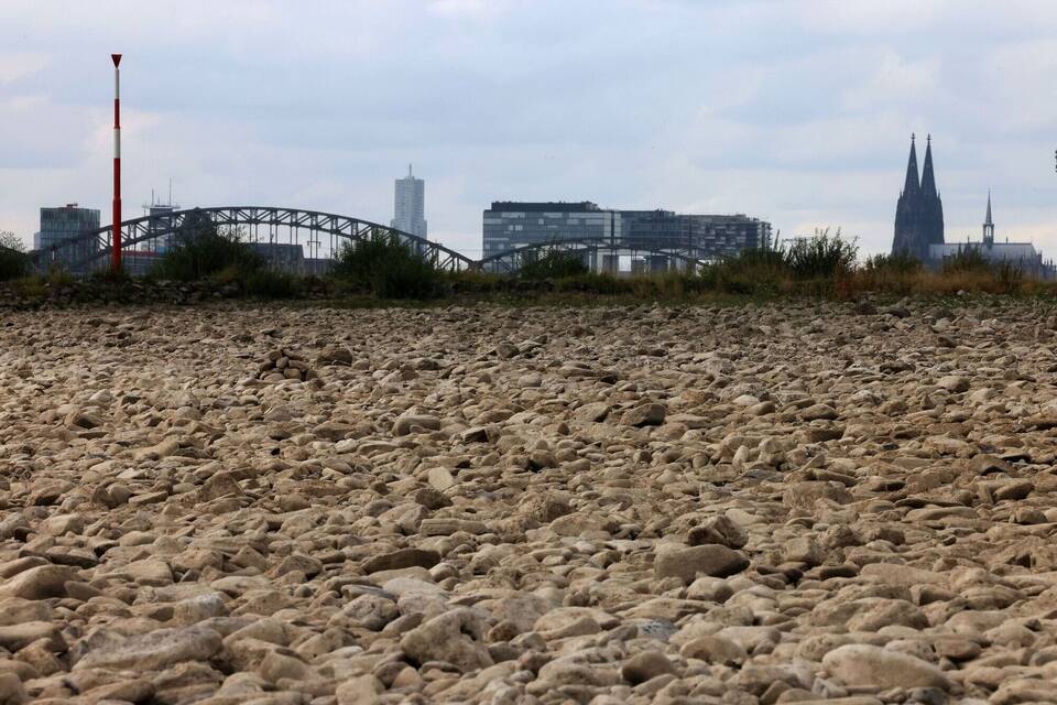 Trockenheit am Rhein Trockenheit am Rhein