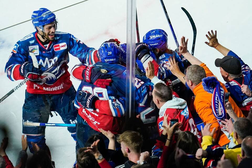 Adler Mannheim - Kölner Haie