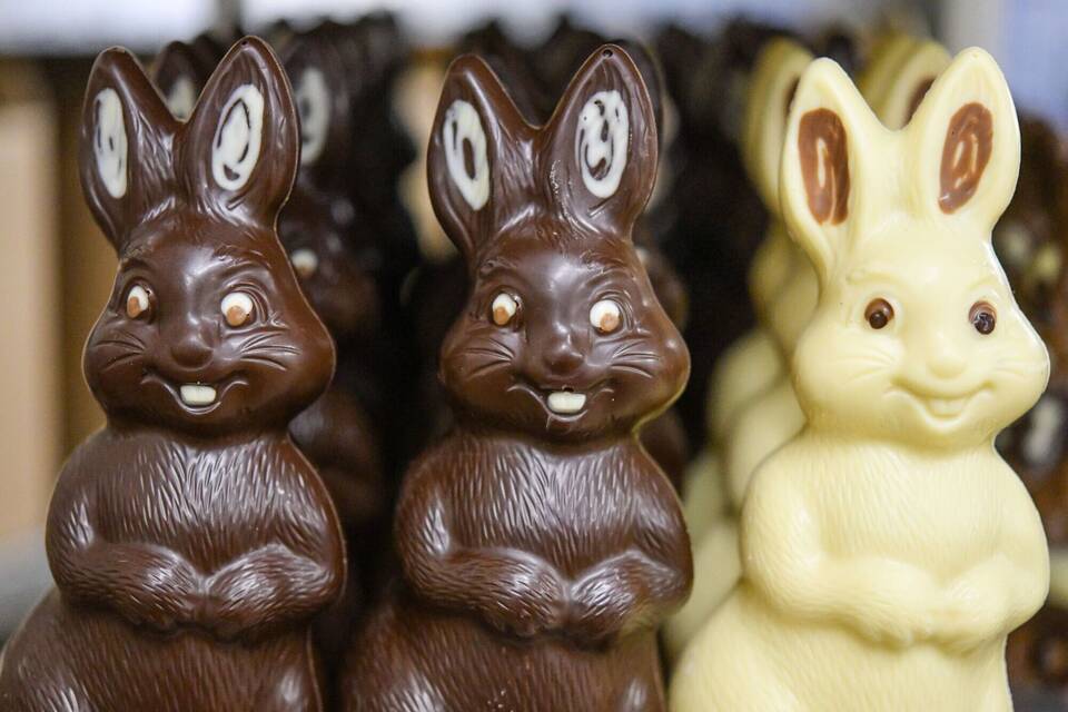 Schoko-Osterhasen Schoko-Osterhasen