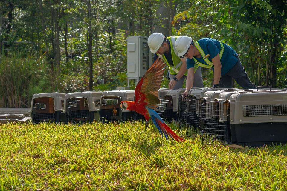Neues «Bird Paradise» in Singapur Neues «Bird Paradise» in Singapur