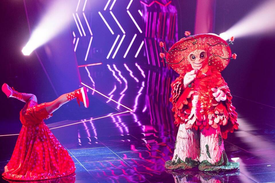 "The Masked Singer" - Musikshow - ProSieben "The Masked Singer" - Musikshow - ProSieben