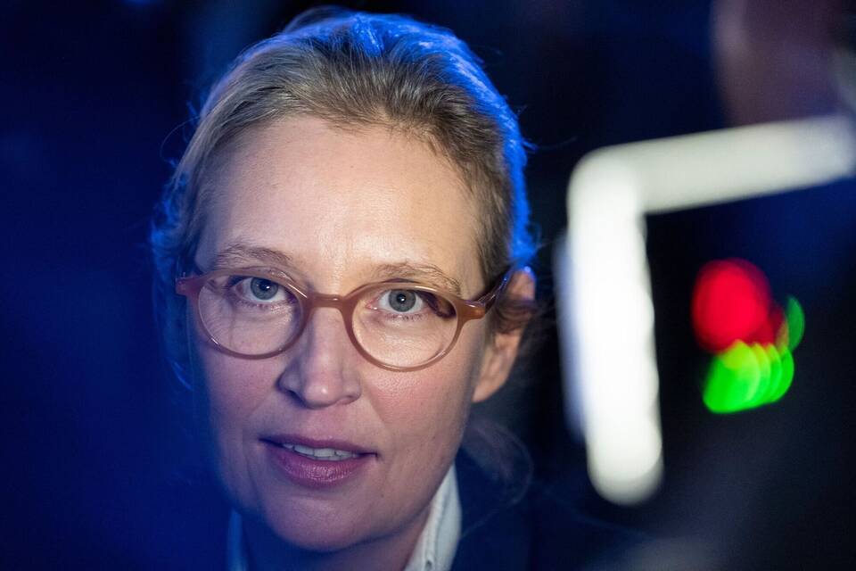 Alice Weidel Alice Weidel