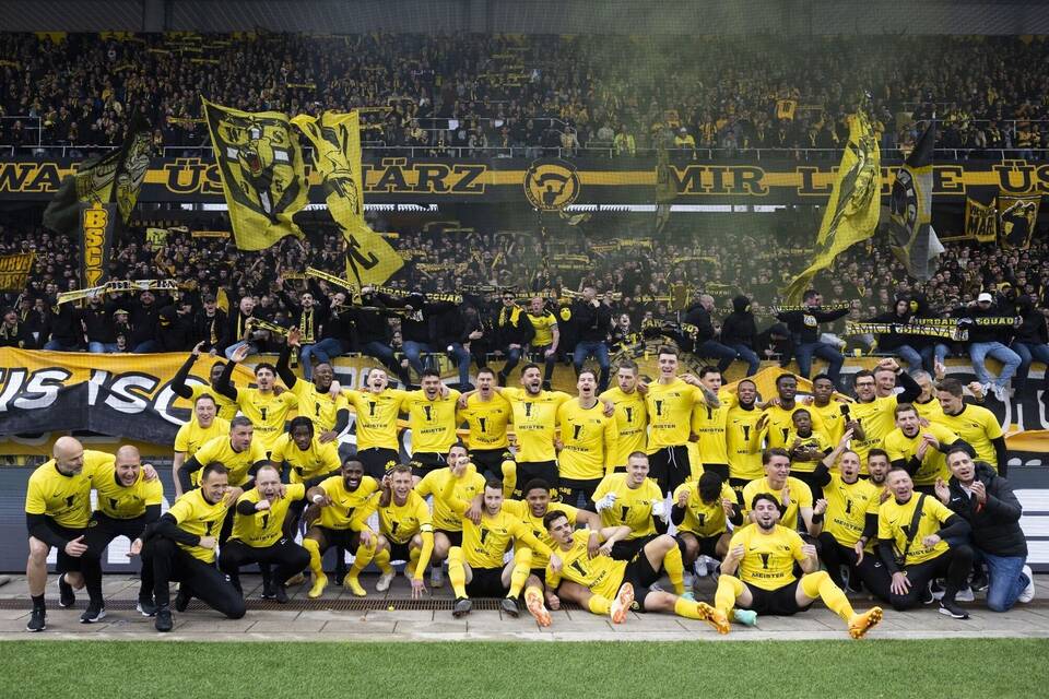 Young Boys Bern - FC Luzern