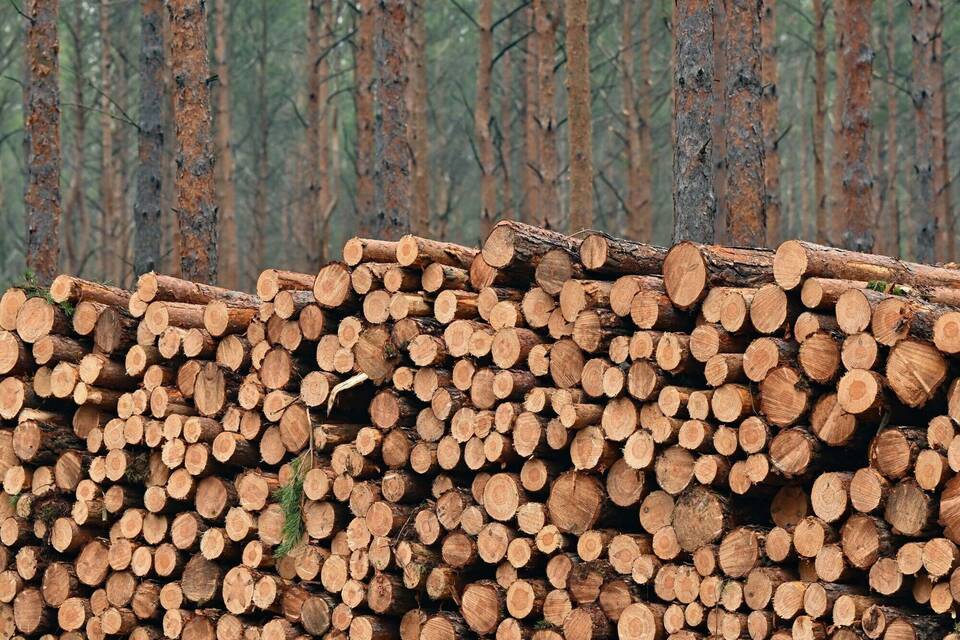 Deutscher Erdüberlastungstag