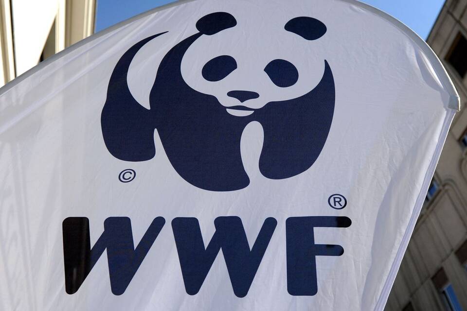 WWF WWF