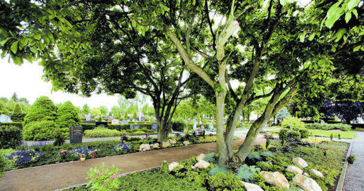 Schwetzingen Der Garten Der Erinnerung Wurde Erweitert