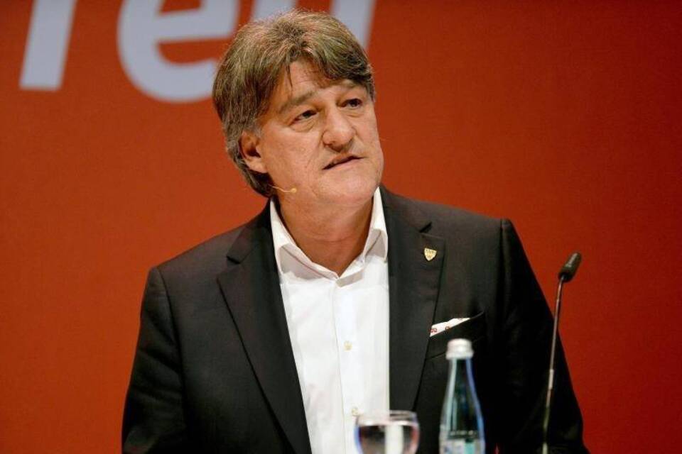 VfB-Chef VfB-Chef
