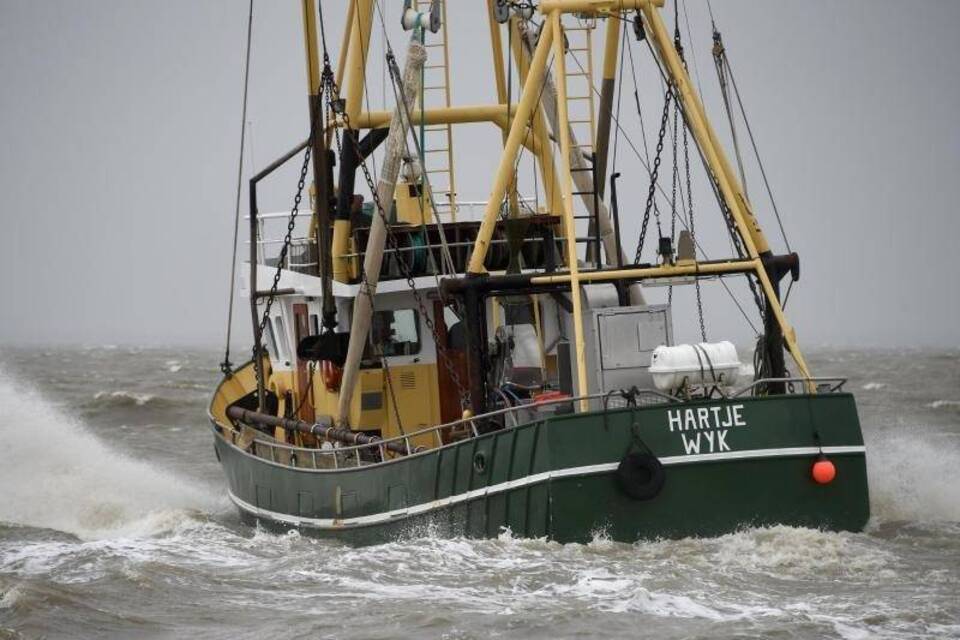 Fischkutter Fischkutter