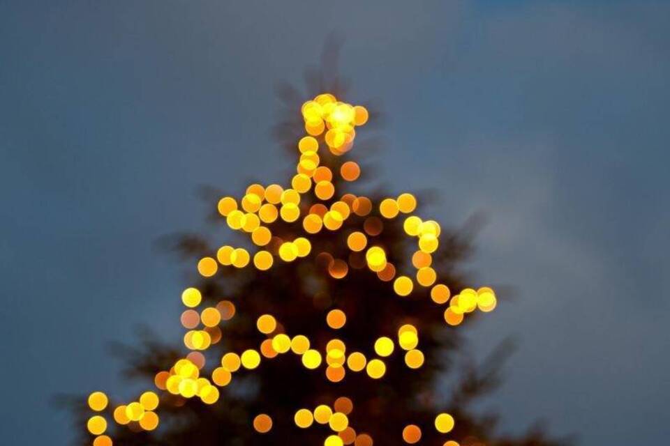 LED an Weihnachtsbäumen