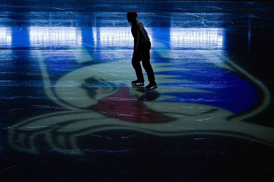Adler Mannheim Adler Mannheim