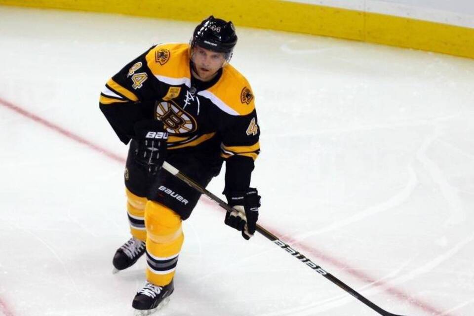 Dennis Seidenberg Dennis Seidenberg
