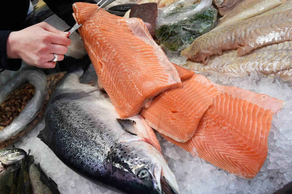 Massenprodukt Lachs - Kaum noch Wildbestände Massenprodukt Lachs - Kaum noch Wildbestände