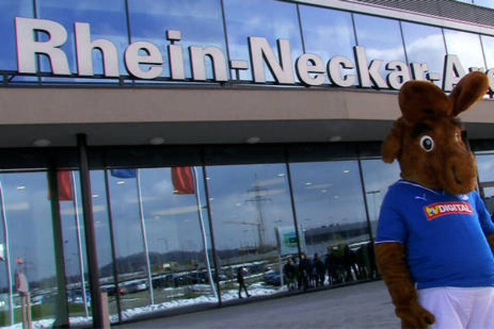 Fans: "Hoffnungsschimmer für eine bessere Zukunft"