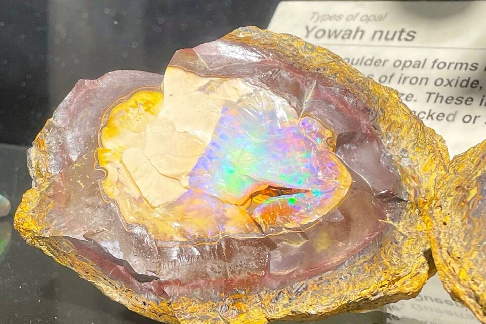 Opal Opal