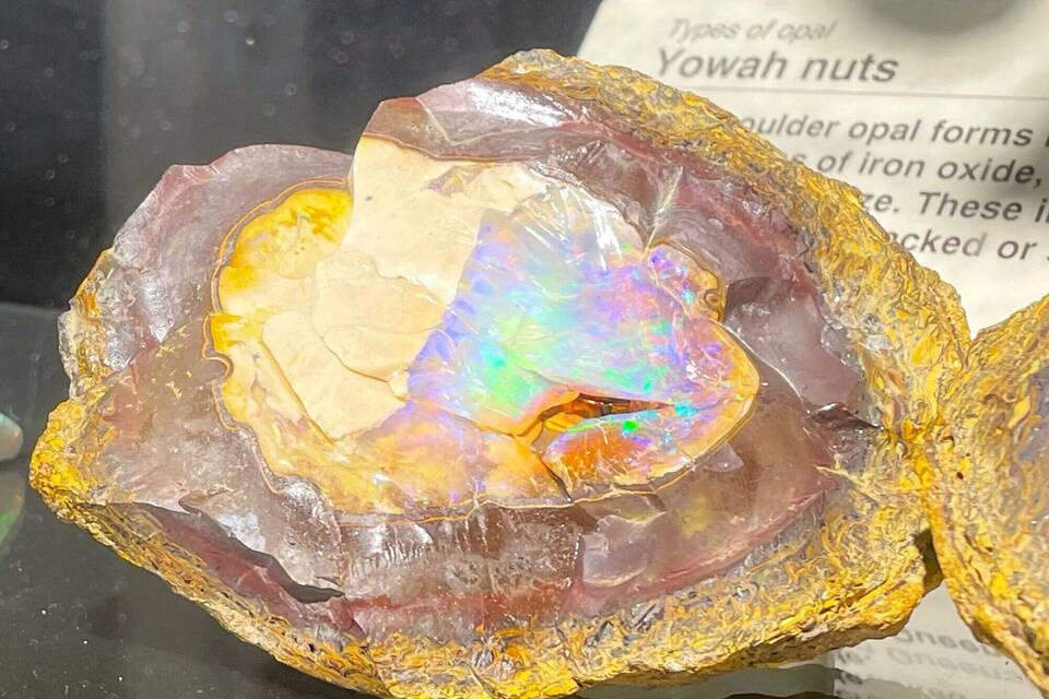 Opal Opal