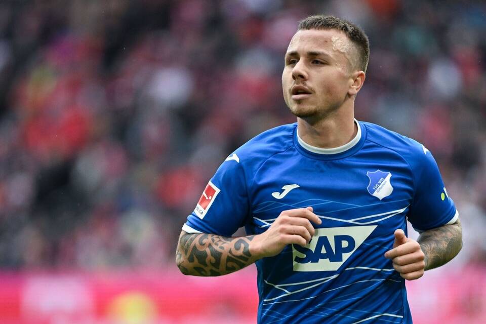 Angelino
