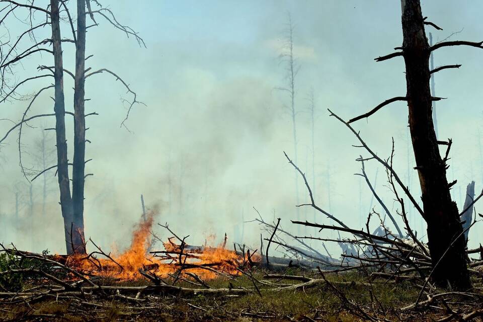 Waldbrand bei Jüterbog Waldbrand bei Jüterbog