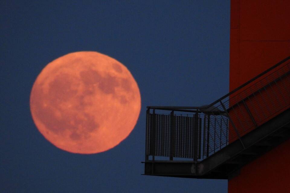 Erdbeermond Erdbeermond