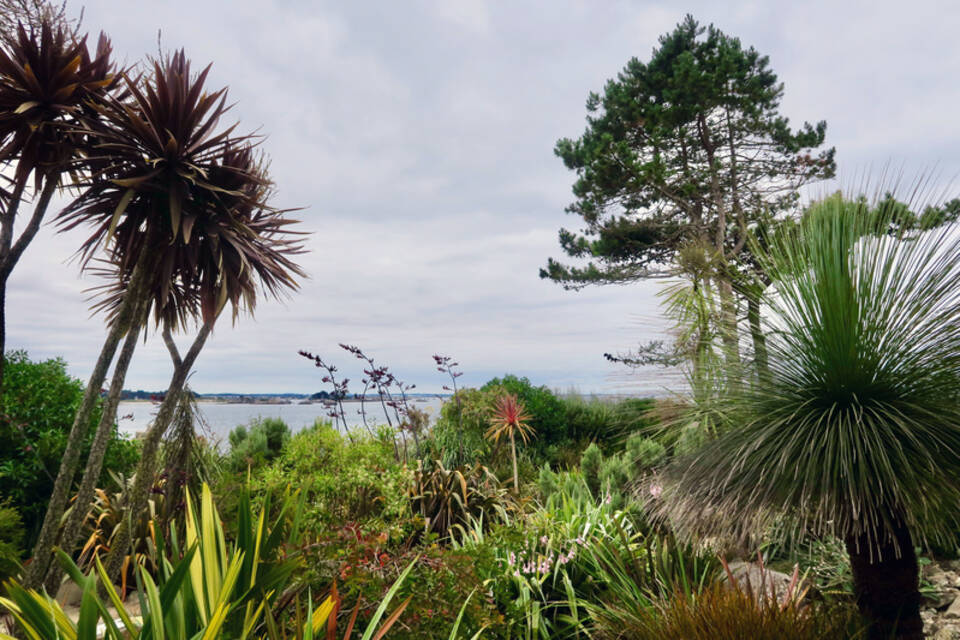 Gärten in der Bretagne Fotogalerien RheinNeckarZeitung
