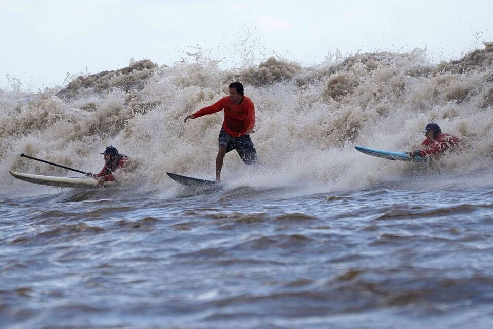 Surfer Surfer