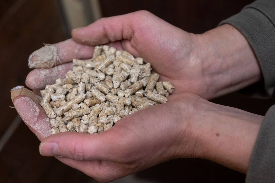 Heizen mit Holzpellets Heizen mit Holzpellets
