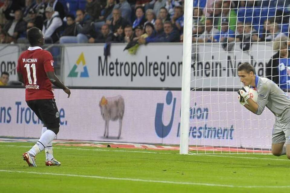 Casteels warnt vor Ibisevic