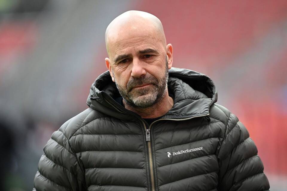 Peter Bosz Peter Bosz