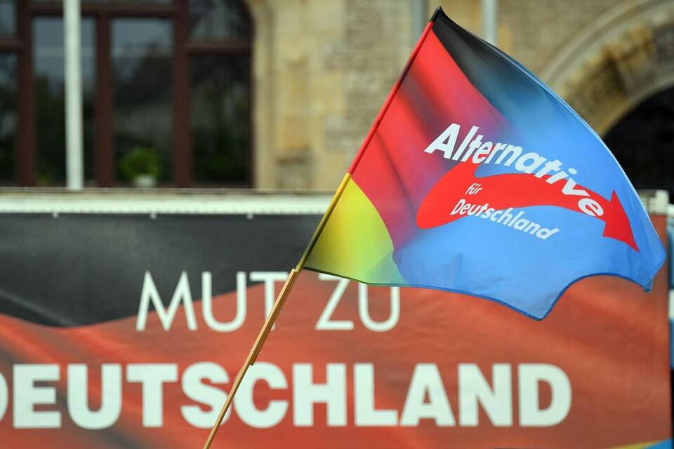 AfD AfD