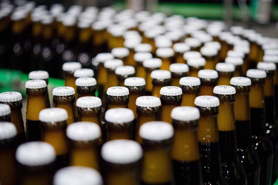 Bier Bier