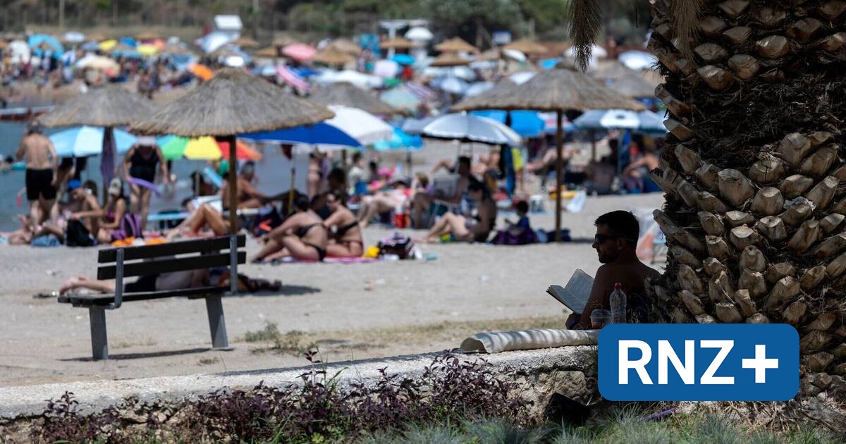 Empresas relacionadas con 4755555 12255555 0
